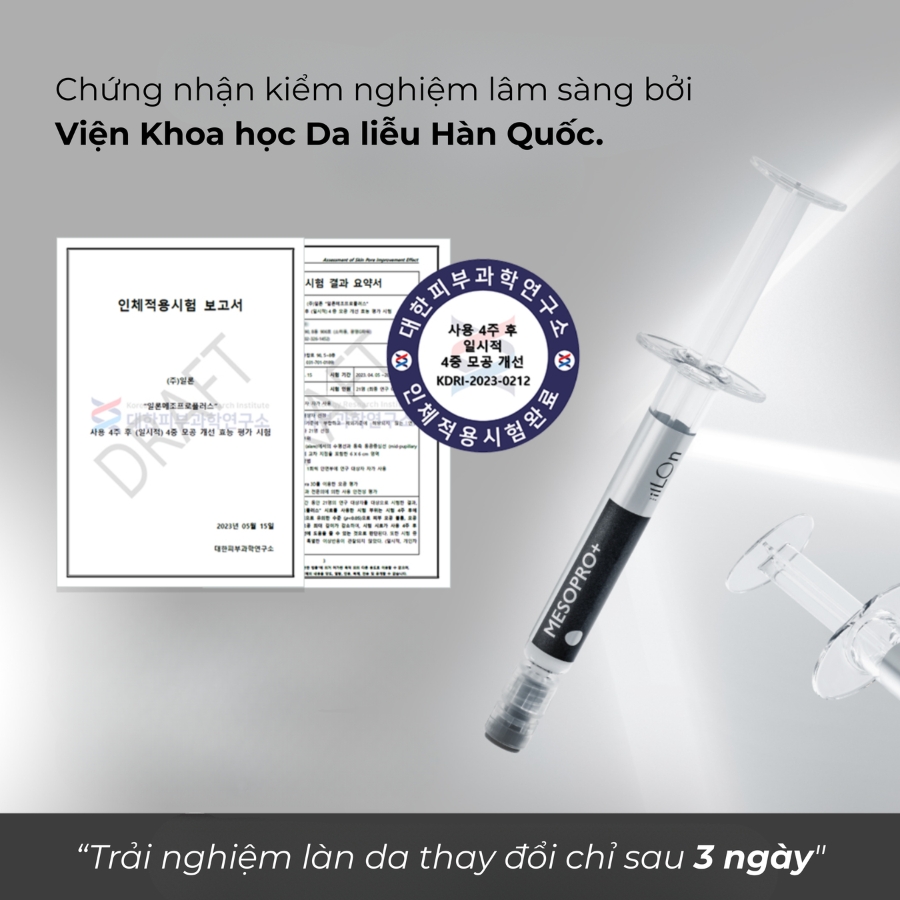 THE iLLON Việt Nam